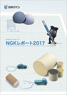 NGKレポート2017