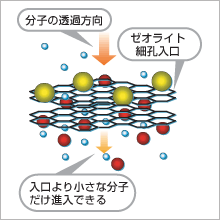 「分子ふるい」イメージ