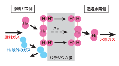 パラジウム膜の水素透過機構