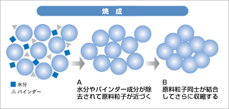 焼成 カルシウム と は