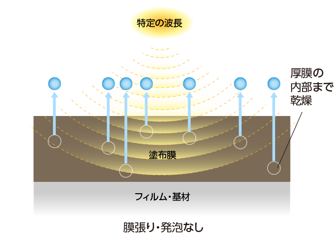 波長制御乾燥