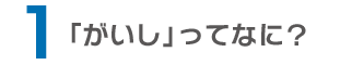 「がいし」ってなに？