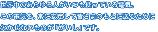 世界中のあらゆる人がいつも使っている電気。この電気を、常に安定して皆さまのもとに送るために欠かせないものが「がいし」です。