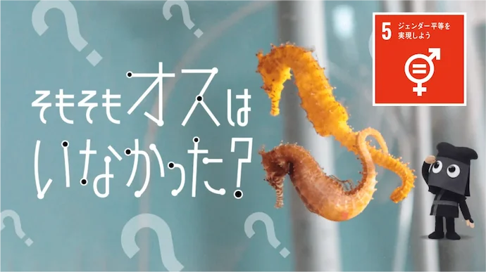 フシギなTV　そもそもオスはいなかった？