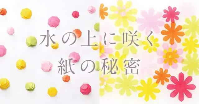 水の上に咲く紙の秘密