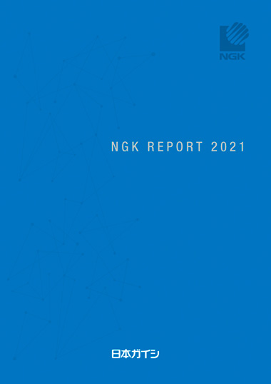 NGKレポート2021
