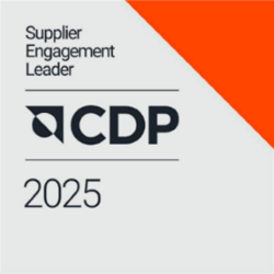 CDP2025ロゴ