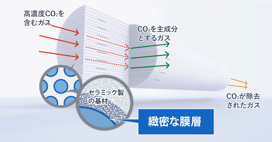 なぜ、特定の分子をふるい分けることができるのでしょうか?