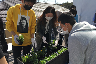 お花の寄せ植え体験会の開催