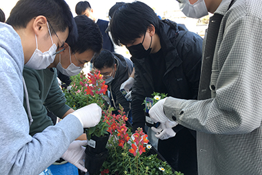 お花の寄せ植え体験会の開催