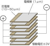 内部構造