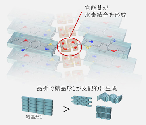 通常条件下(赤外線照射なし)での結晶形の生成される様子を示した図です。