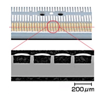 キャビティー構造