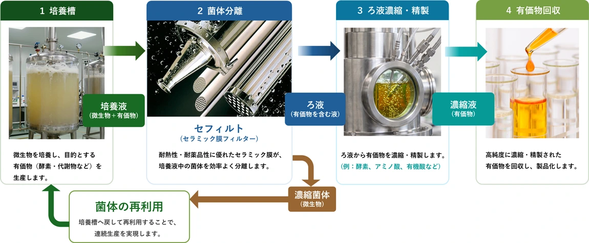バイオものづくりにおけるセフィルトの活用イメージ
