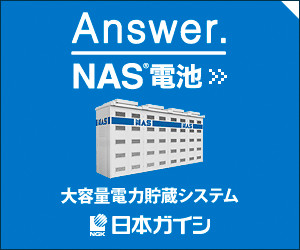 NAS電池の広告画像