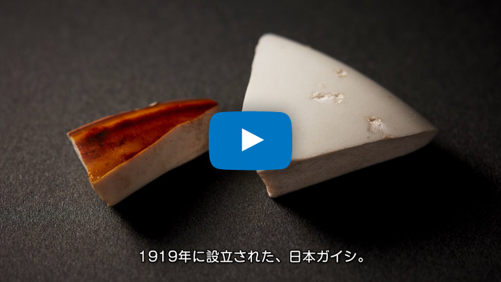 日本ガイシ・会社紹介映像ダイジェスト版