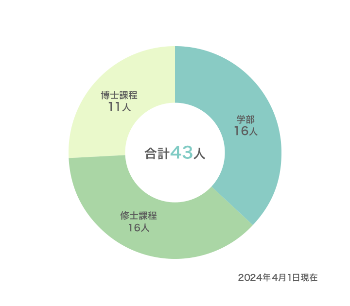 支援留学生の課程別内訳