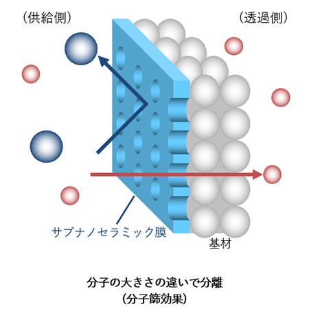 分子の大きさの違いで特定の分子を透過させる分子ふるい効果の透過モデルです。
