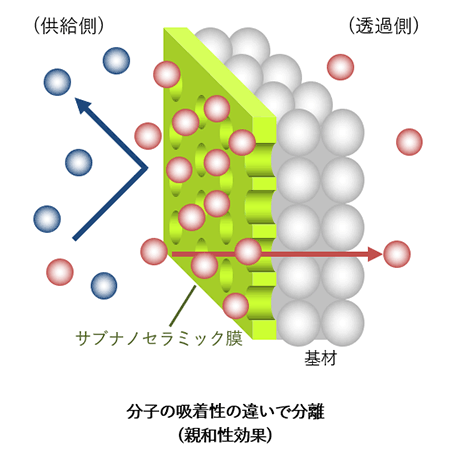 分子の吸着性の違いで特定の分子を透過させる親和性効果の透過モデルです。