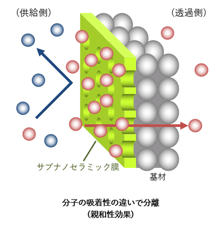 分子の吸着性の違いで特定の分子を透過させる親和性効果の透過モデルです。