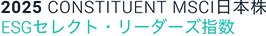 MSCI 日本株ESGセレクト・リーダーズ指数の画像です。
