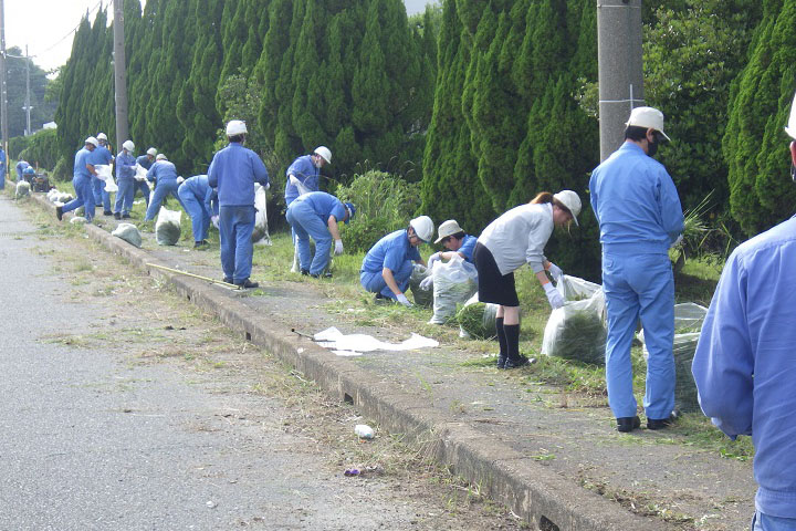 晴天の中、皆で協力しながら草刈り機で刈った草を回収する社員