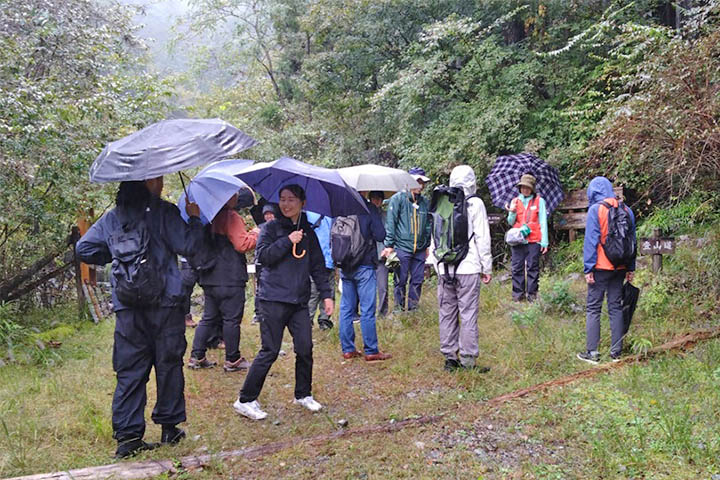 森の中を歩きながら自然観察を行う参加者