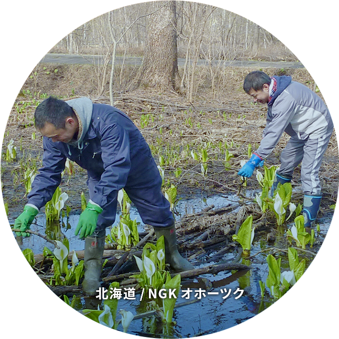 北海道 北海道 / NGKオホーツク